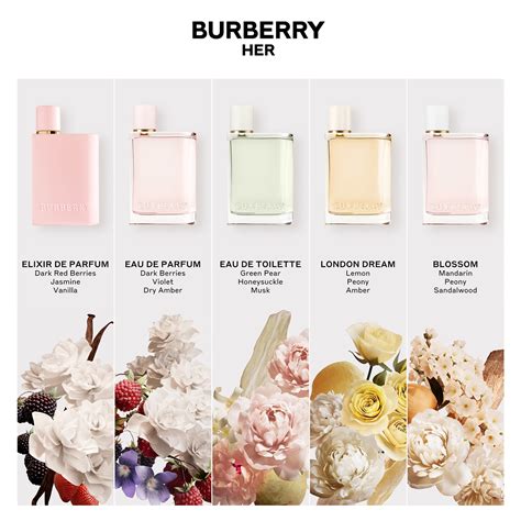 burberry her perfume notes